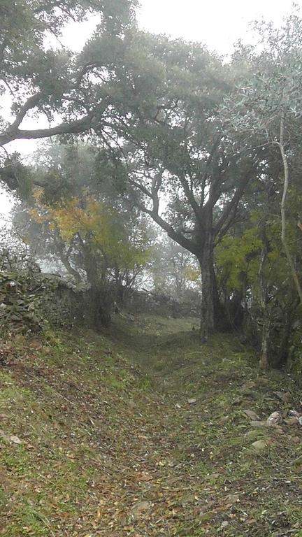 Penzion Los Montes Casas de Miravete Exteriér fotografie